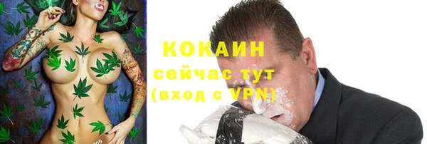амф Богданович