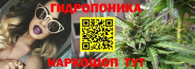 ALPHA PVP Новодвинск