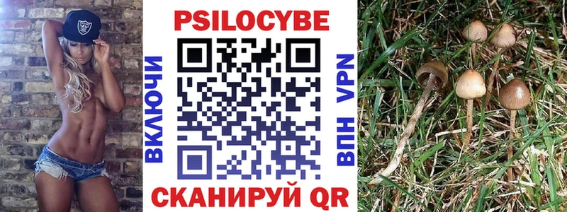 Галлюциногенные грибы MAGIC MUSHROOMS  Буйнакск 