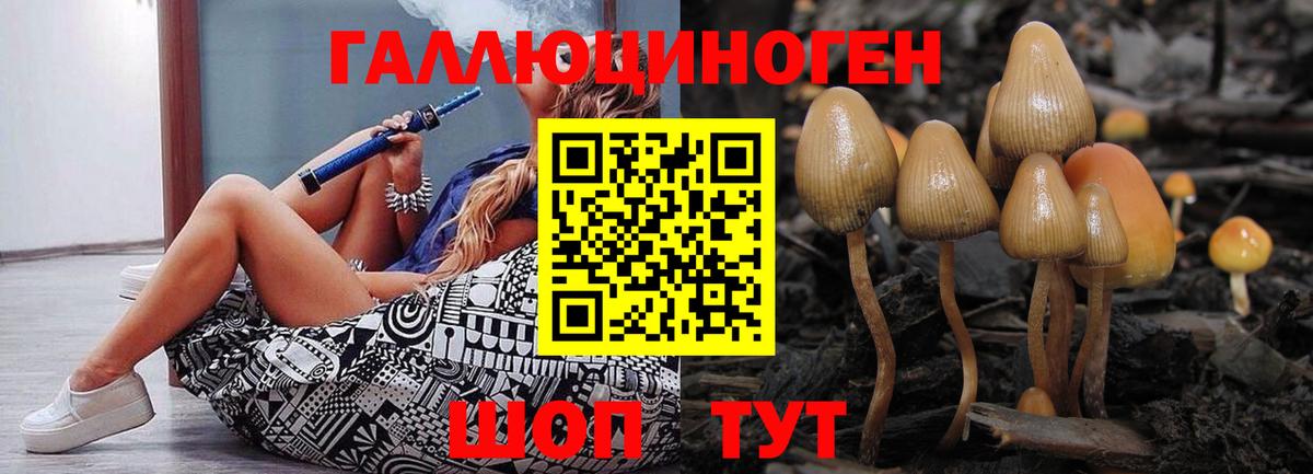 Буйнакск  Галлюциногенные грибы мухоморы  Псилоцибиновые грибы мухоморы  Вход с VPN 