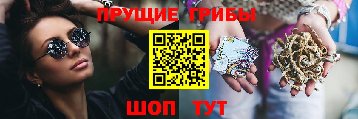 Псилоцибиновые грибы ЛСД Буйнакск